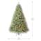 7.5ft. Pre-Lit Jackson Spruce Artificial Christmas Tree, Warm White LED Lights by Ashland®